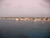 DCLMagic01242009 264.jpg (44kb)